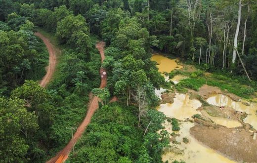 Illegal mining