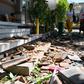 Nearly 1,000 houses were damaged and more than 3,000 people have taken refuge in government buildings and schools after an earthquake struck Indonesia