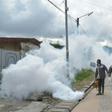 In Ivory Coast, the only way to fight dengue is to fight the mosquitoes that spread it, officials say