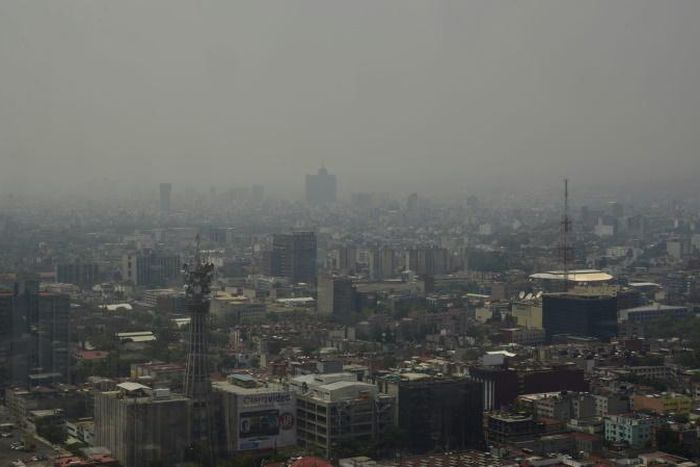 The victims were shot in an upscale mall in the sprawling capital, Mexico City