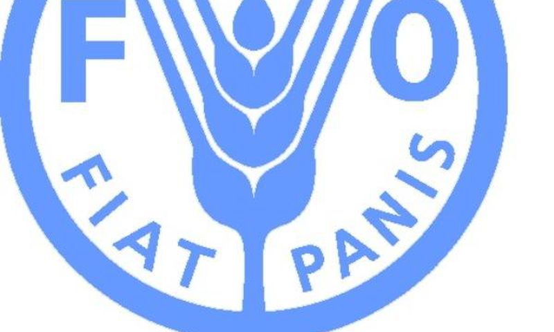 Food and Agriculture Organization (FAO)