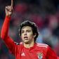 Joao Felix scored 20 goals for Benfica last season