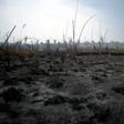 Brazil has rejected a G7 offer of aid to fight fires in the Amazon that have swept across 950,000 hectares (2.3 million acres)