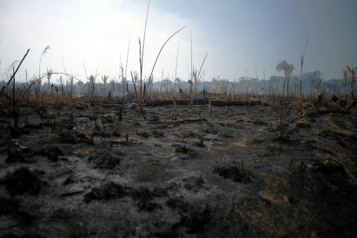 Brazil has rejected a G7 offer of aid to fight fires in the Amazon that have swept across 950,000 hectares (2.3 million acres)