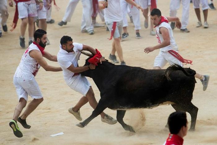 The daily runs see hundreds of people dressed in white shirts and red scarfs, sprint with bulls through narrow streets to the city's bull ring