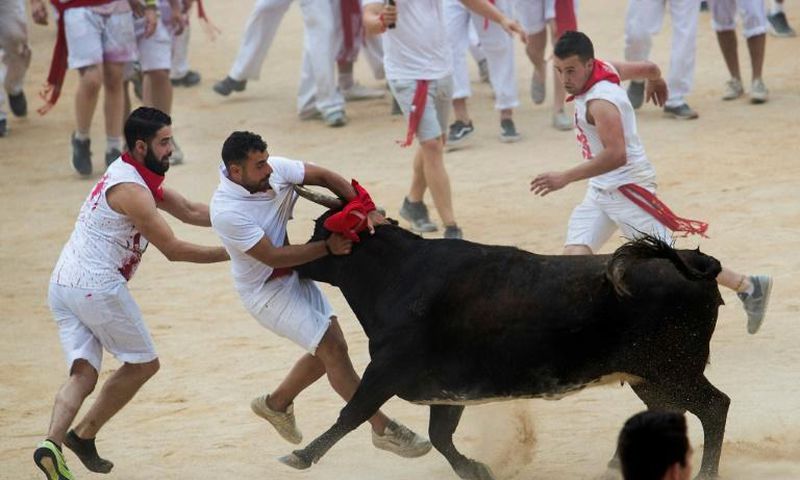 The daily runs see hundreds of people dressed in white shirts and red scarfs, sprint with bulls through narrow streets to the city's bull ring