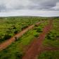Protesters across Mali are calling for urgent improvement of the country's dilapidated roads and railways