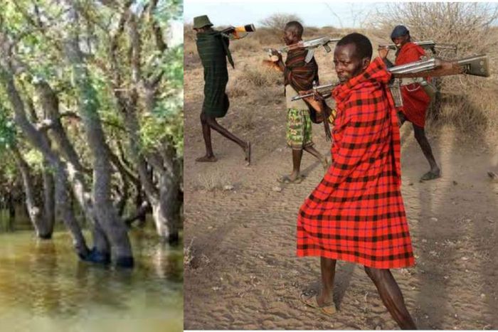 Armed robbers rendered homeless as their hideout in the forest gets flooded