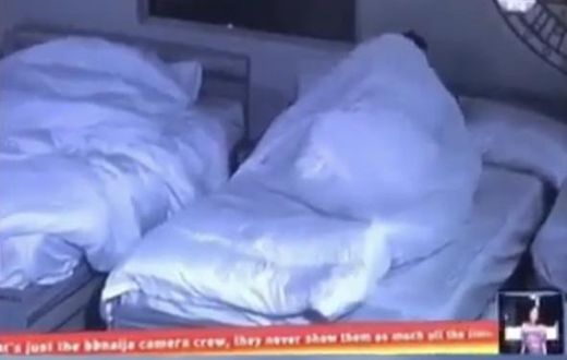 BBNaija Housemates in sexual act