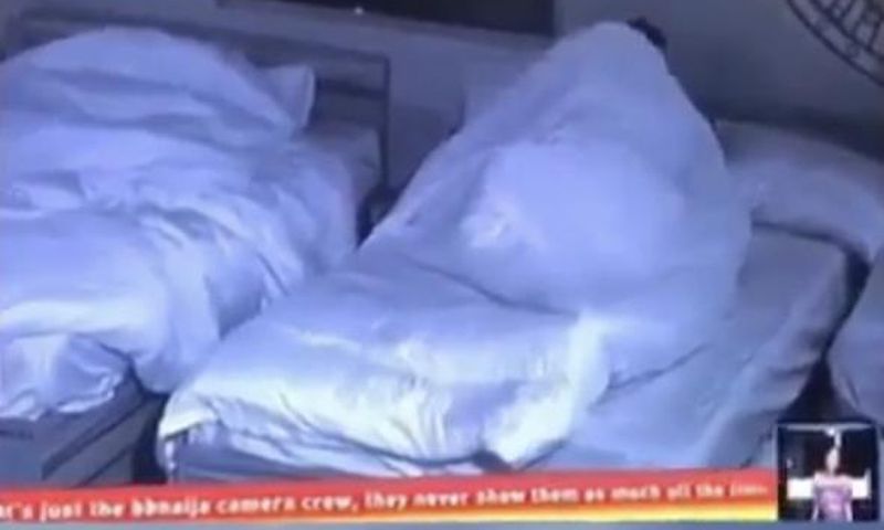BBNaija Housemates in sexual act