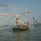 The fishing industry is critical for Ghana, but stocks are dwindling and the authorities are trying to stem the losses