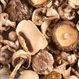 Is Mushroom Jerky Good for You?