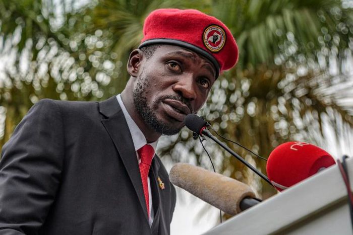 Singer turned politician Robert Kyagulanyi, also known as Bobi Wine, has been charged with annoying the president