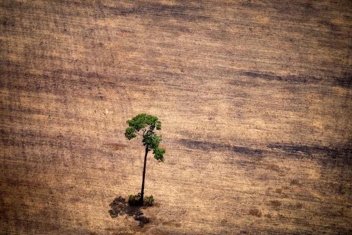 INPE is already in Brazilian President Jair Bolsonaro's crosshairs over data showing a surge in deforestation in recent months