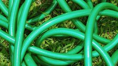 Why is My Poop Green?