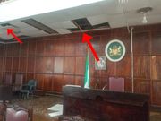 Lawmakers flee as 3 snakes fall from chamber’s ceiling and give them hot chase