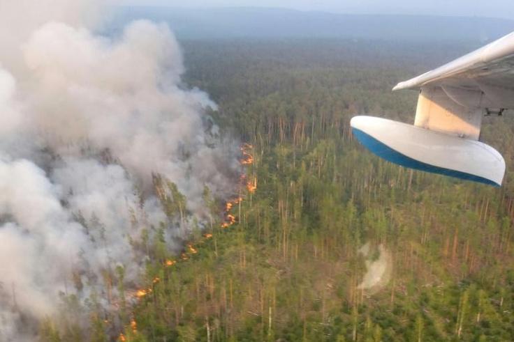Around three million hectares (7.4 million acres) of land are in the grip of fires, authorities said