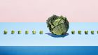 What Is The Plant Paradox Diet?