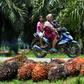 Palm oil is used in cooking, cosmetics, and biofuel, and accounts for six percent of Indonesia's economy