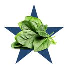 The Peak Performance Diet for Your Penis