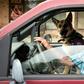 US military veteran Michael Kidd and his companion dog Millie leave after a training session at the Paws of War office in Nesconset, New York -- Millie helps Kidd navigate the difficulties of post-traumatic stress disorder