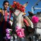A Moroccan child decorates a donkey during a beauty pageant for the animals in the village of Beni Ammar