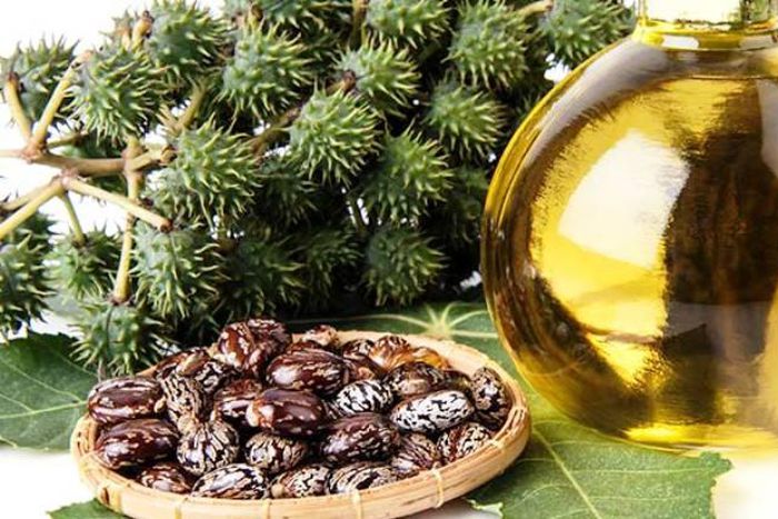 Castor oil has many health and beauty benefits aside its culinary uses.