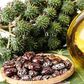 Castor oil has many health and beauty benefits aside its culinary uses.