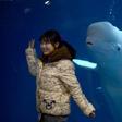 More than 3,000 whales and dolphins are kept in captivity around the world
