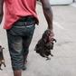 Hunters now require license to hunt ‘Akrantiɛ’ in Ghana