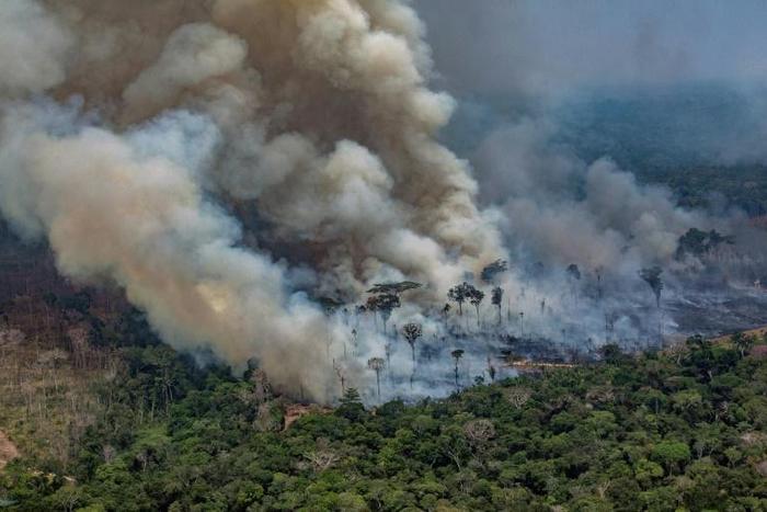 Amazon fires have drawn comparison to African rainforest fires, but experts say that is risky