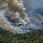 Amazon fires have drawn comparison to African rainforest fires, but experts say that is risky