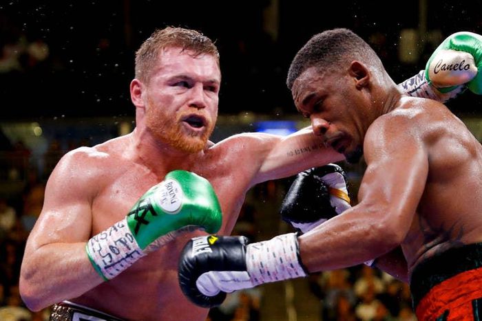 Undefeated boxer dies after accommodating 11 rounds of hard punches