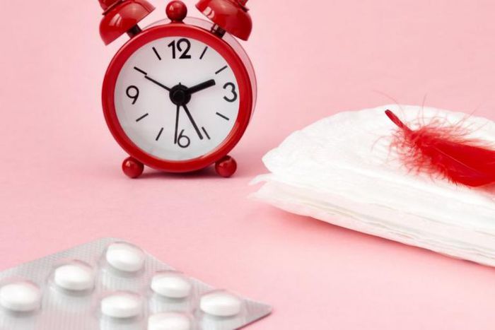 Menstrual pads, blood period calendar, clocks and pills (Credit- flo.health)