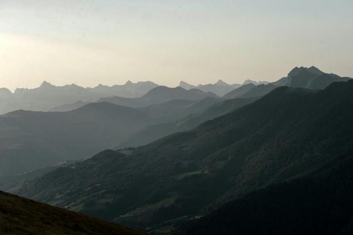 Around 50 bears now roam the mountains that separate France and Spain