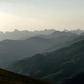 Around 50 bears now roam the mountains that separate France and Spain