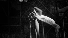 $399 for a Festival in Central Park? The Great Lawn Goes Capitalist