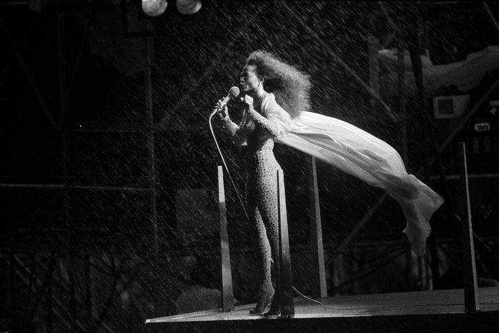 $399 for a Festival in Central Park? The Great Lawn Goes Capitalist