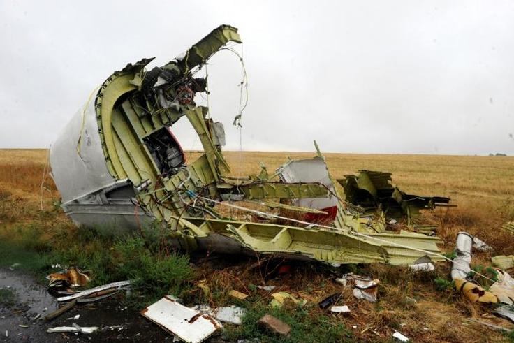 Malaysia Airlines Flight MH17 was shot down over a rebel-held area of eastern Ukraine in July 2014