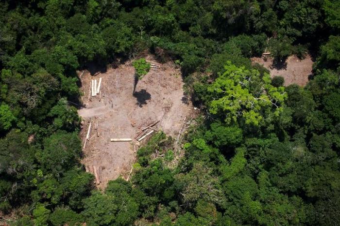 Brazilian President Jair Bolsonaro, a climate change sceptic, has accused the country's National Institute of Space Research of publishing misleading data on the environment