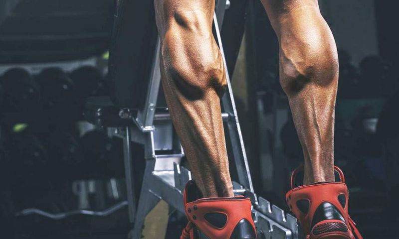 Build Massive Calves With These Workouts