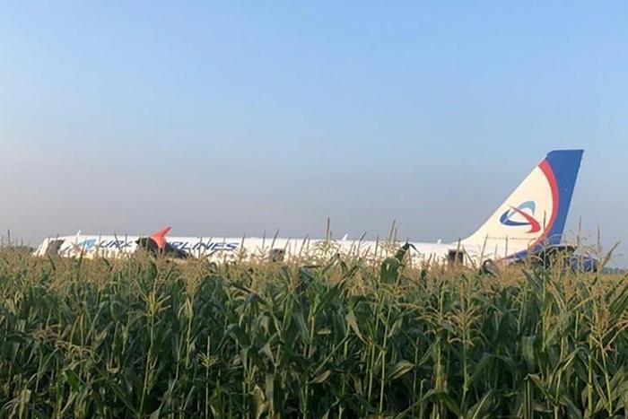 The Ural Airlines A321, carrying 226 passengers and seven crew, came down in a corn field
