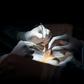 The analysis, published in JAMA Internal Medicine, found that French transplant centers would have transplanted more than 60 percent - about 17,500 kidneys - of the nearly 28,000 deceased-donor kidneys discarded in the United States between 2004 and 20...