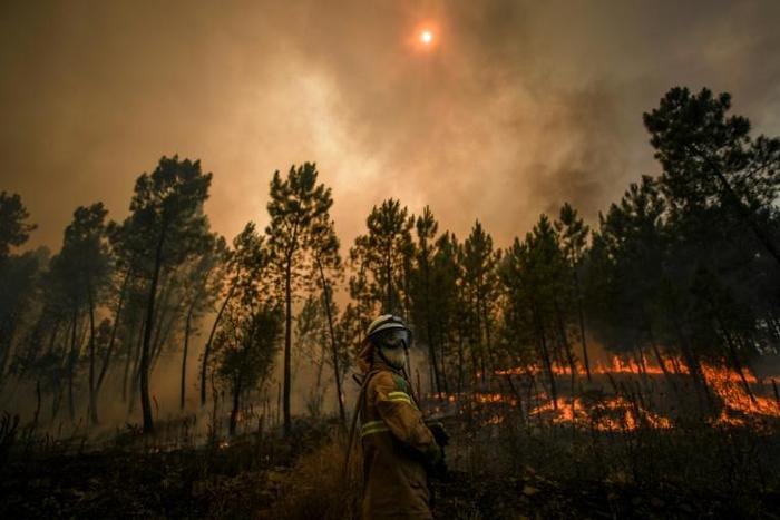 More than 1,200 firefighters were deployed to fight the blazes in the heavily forested Castelo Branco region