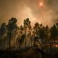 More than 1,200 firefighters were deployed to fight the blazes in the heavily forested Castelo Branco region