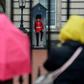 London lovers from the world over are revelling in the lucky break in what is otherwise a very expensive city -- especially for those trooping around the regular tourist haunts