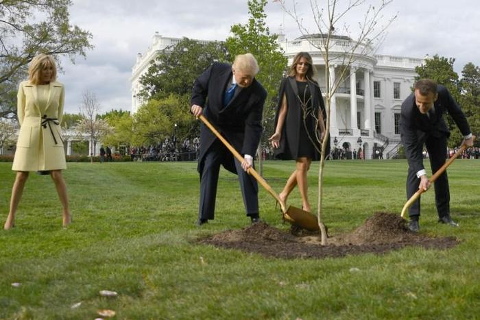 French President Emmanuel Macron offered a young oak to his US counterpart Donald Trump on the occasion of a state visit to Washington in 2018, and the two shoveled dirt around it under the watchful eyes of their wives -- and cameras from around the wo...