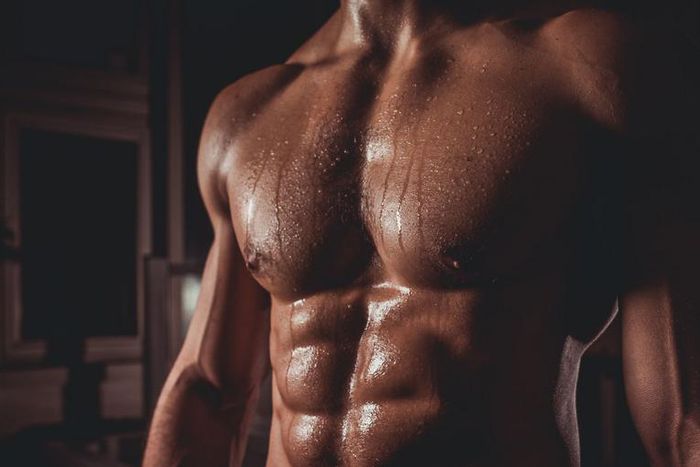 Build the Ultimate Upper Body With This Program
