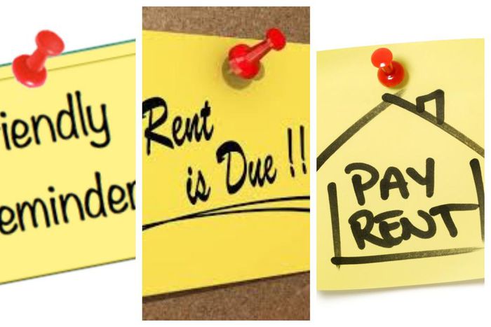 Tenant in trouble after beating up landlord like a stray dog for coming to demand rent at night