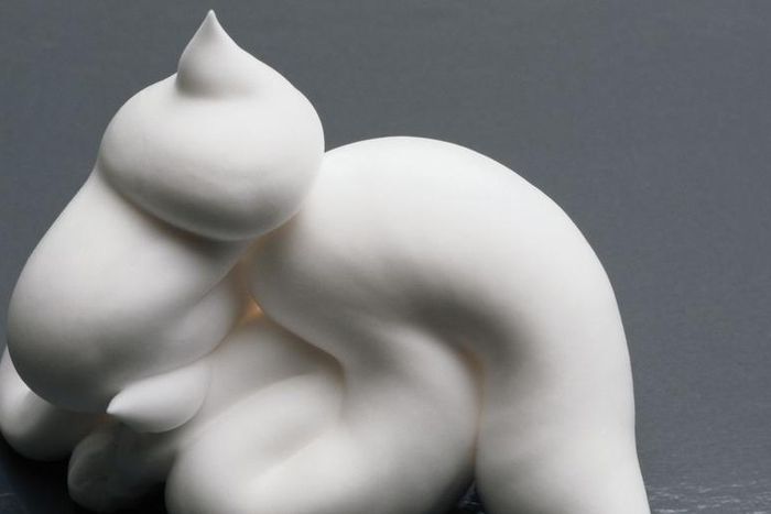 Dr. Pimple Popper Pops Cyst Filled With White Gunk